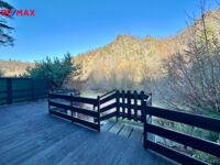REMAX Delux