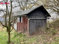 REMAX Delux