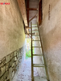 2879191.jpg
