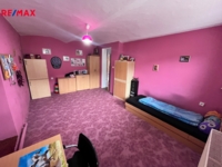 REMAX Delux