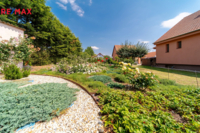 REMAX Delux