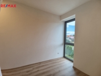 2917240.jpg