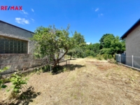 REMAX Delux