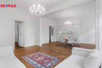 REMAX Delux