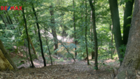 2800947.jpg