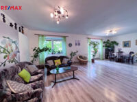 REMAX Delux