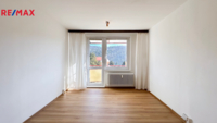 REMAX Delux