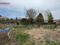 REMAX Delux