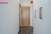 REMAX Delux