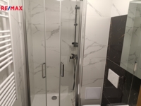 REMAX Delux