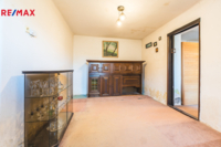 REMAX Delux