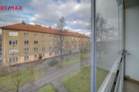2603458.jpg