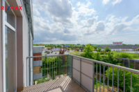REMAX Delux