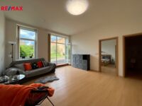 REMAX Delux