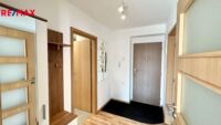 REMAX Delux