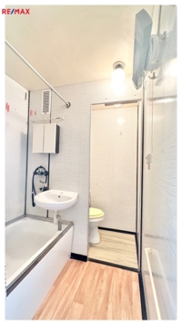 REMAX Brno