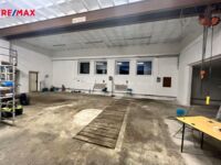 REMAX Delux