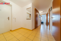 REMAX Delux