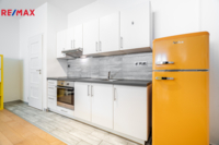 REMAX Delux