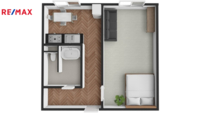 REMAX Delux