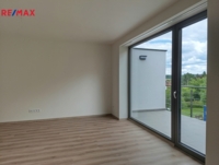 REMAX Delux