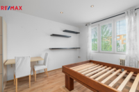 REMAX Delux