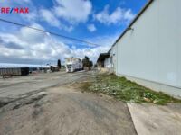 REMAX Delux