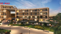 REMAX Delux
