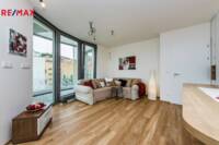 REMAX Delux