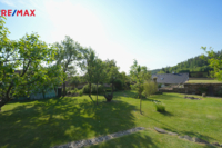 REMAX Delux