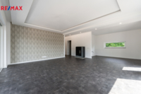 REMAX Delux