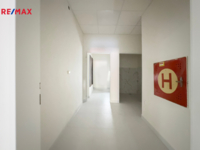 REMAX Delux