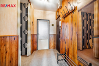 REMAX Delux