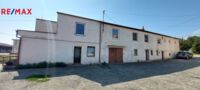 REMAX Delux