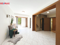 REMAX Delux