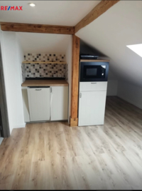 REMAX Delux