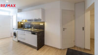 REMAX Delux