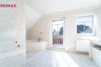 REMAX Delux