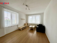 REMAX Delux