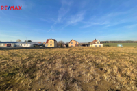 REMAX Delux