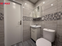 REMAX Delux