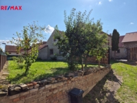 REMAX Delux