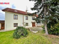 REMAX Delux