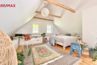 REMAX Delux
