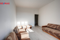 REMAX Delux