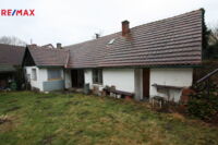 REMAX Delux