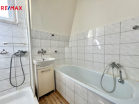 REMAX Delux