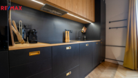 REMAX Delux