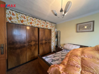 REMAX Delux