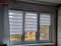 REMAX Delux